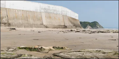 Quels pays ont souvent le ph&eacute;nom&egrave;ne ?