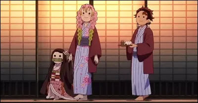 Quelle est ta coiffure préférée ?