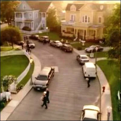 Quelle plante grimpante originaire dAsie et dAmérique aurait été importée en Europe par André Le Nôtre pour les jardins de Versailles ?