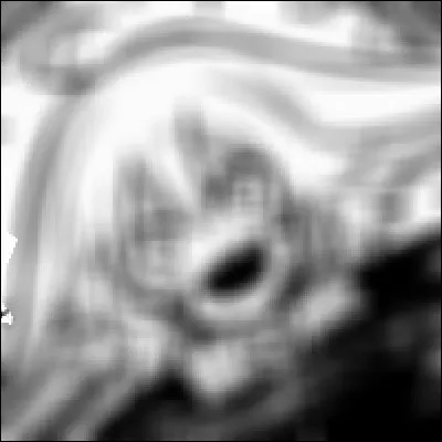 Qui est ce personnage flouté ?