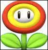 Qu'est ce qui permet  Mario de se tranformer en 'Mario de feu' ?
