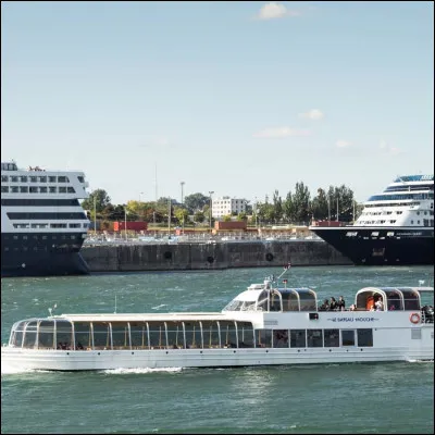 (Premier voyage)
Sur quoi accoste l'équipage de Sindbad ?