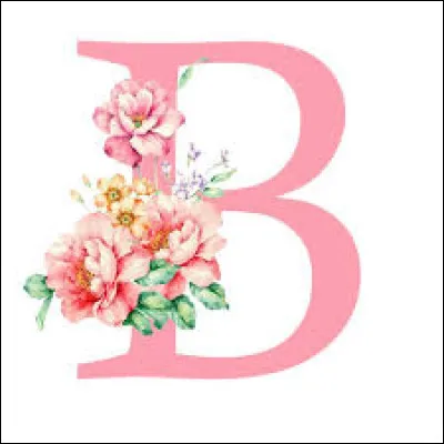 Babooshka : Qui l'a chant&eacute; en 1980 ?