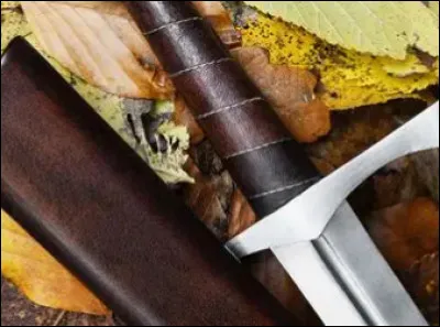 Entre force et dextérité, que choisiriez-vous ?