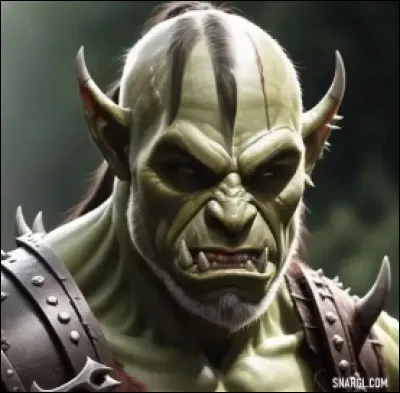 Vous êtes face à un Orc, que faites-vous ?
