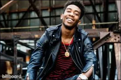 À quel rappeur américain doit-on le tube "Panda" en 2016 ?