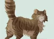 Quiz Connais tu bien Isidore ? LGDC