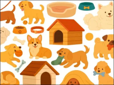 Que préfères-tu faire ?