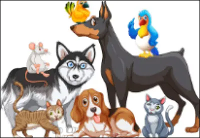 Question importante : Aimes-tu les animaux ?