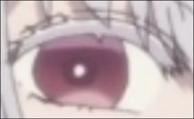 &Agrave; qui appartient cet �il ?