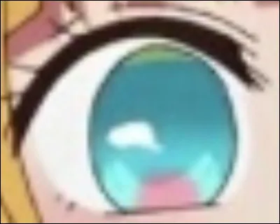 &Agrave; qui appartient cet �il ?