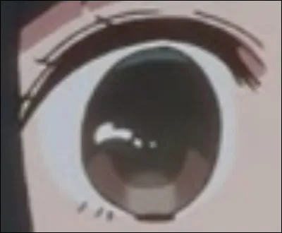 &Agrave; qui appartient cet �il ?