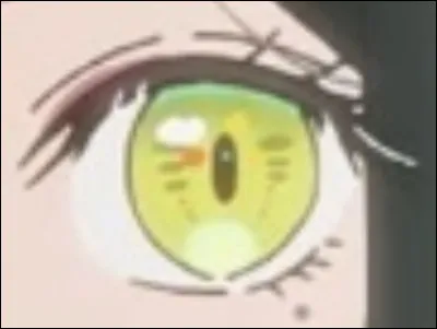 &Agrave; qui appartient cet �il ?