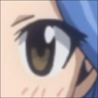 À qui appartient cet il ?