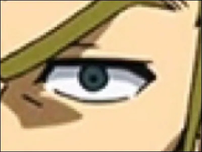 À qui appartient cet œil ?