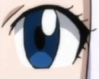 À qui appartient cet il ?