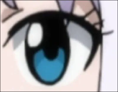 À qui appartient cet il ?