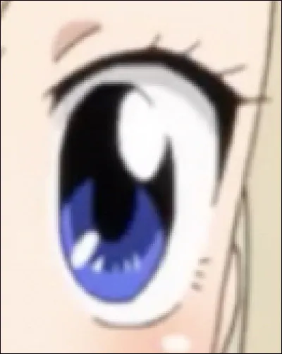 À qui appartient cet il ?