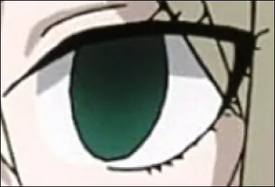 À qui appartient cet il ?