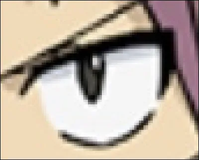 À qui appartient cet il ?