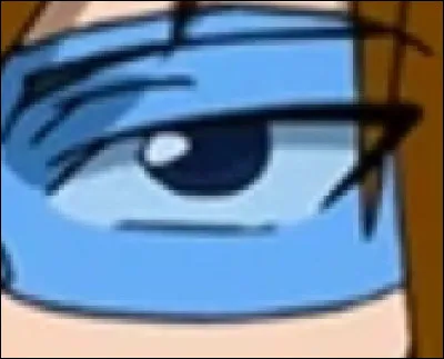 À qui appartient cet il ?