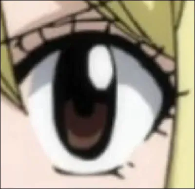 À qui appartient cet il ?