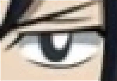 À qui appartient cet il ?