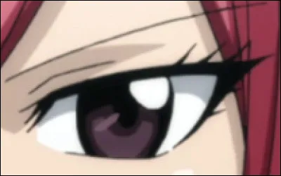 À qui appartient cet il ?