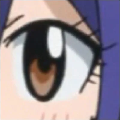 À qui appartient cet il ?