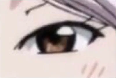 À qui appartient cet il ?