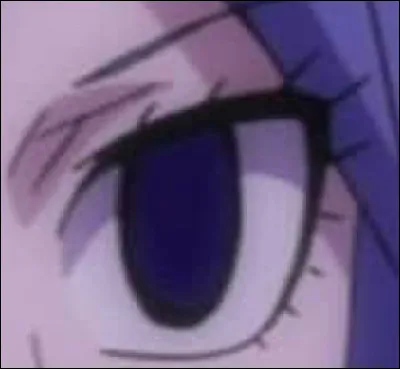 À qui appartient cet il ?