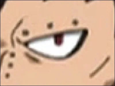 À qui appartient cet il ?