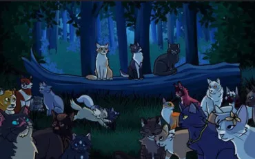 Quiz Test de personnalit