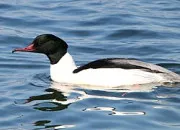 Quiz Lieu crois (16)