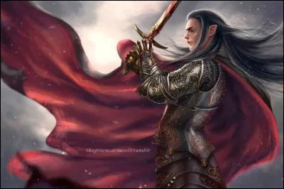 Quelle est la signification du nom ''Fëanor'' ?