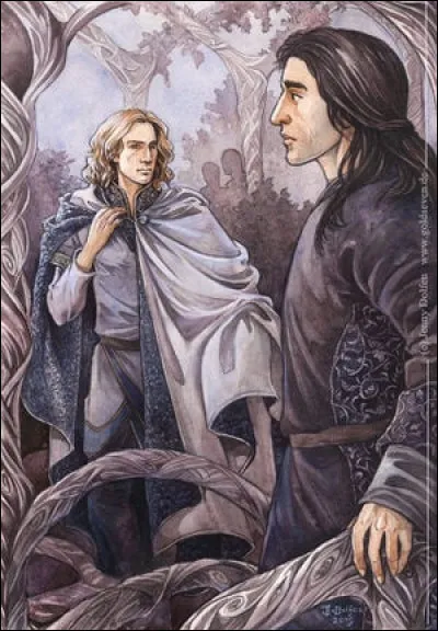 Elrond choisit l�immortalit&eacute; en tant qu�Elfe plut&ocirc;t que la mortalit&eacute; comme son fr&egrave;re Elros. Vrai ou faux ?