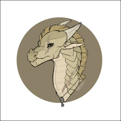 Quelles sont les capacités des Ailes de Sable ? (Dites-moi s'il en manque.)