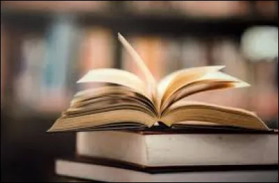 Dans un texte, que permet une "ellipse" ?