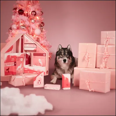 Qui a inventé le calendrier de l'Avent ?