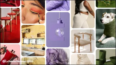 De quelle couleur veux-tu que soit la robe ? - 2