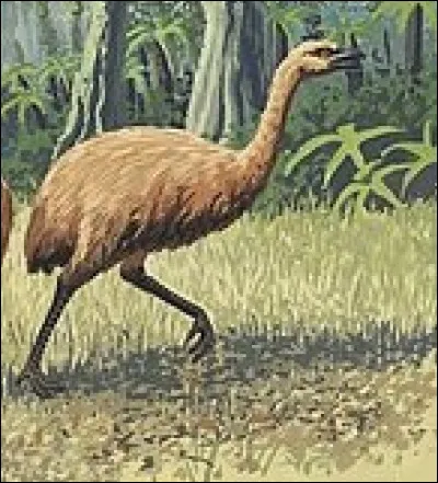 Dans le film de Franco Brusati, de 1955, le patron c'est...