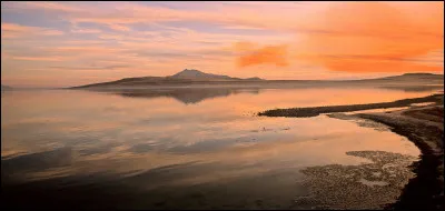 Tu travailles en groupe avec quatre personnes. Quel est ton r&ocirc;le ?