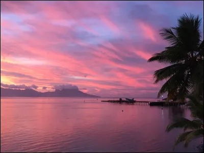 Et enfin, aimes-tu le sport ?