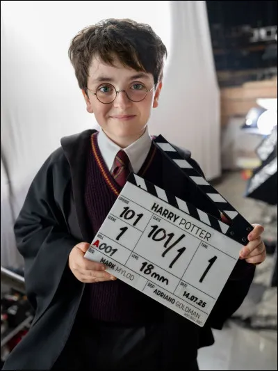 Quel acteur sera l'interprète pour Harry Potter ?
