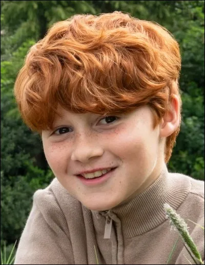 Quel acteur interprètera Ron Weasley ?