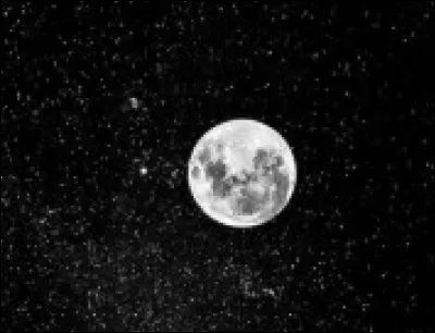 Comment s'appellent les personnages principaux ?