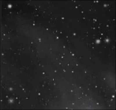 Qui a offert une rose noire à Nica ?