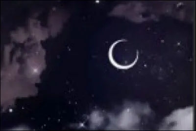 Nica aime-t-elle Lionel ?