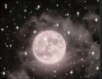 Quel est le nom de l'orphelinat dans lequel Nica et Rigel vivaient ?