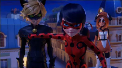 Quel super-héros nest pas sollicité par Ladybug, pour cette mission ?